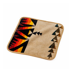 プレインスタータン