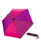 パープル/レッド