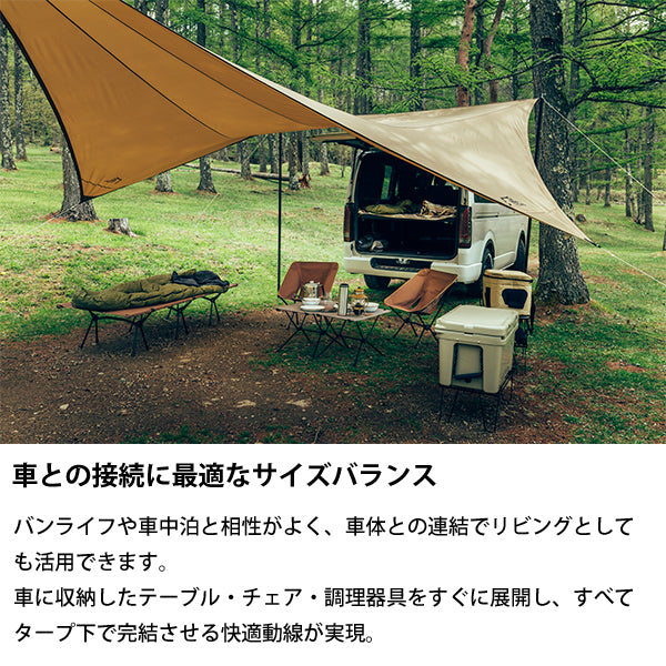 サバティカル シューティングスター