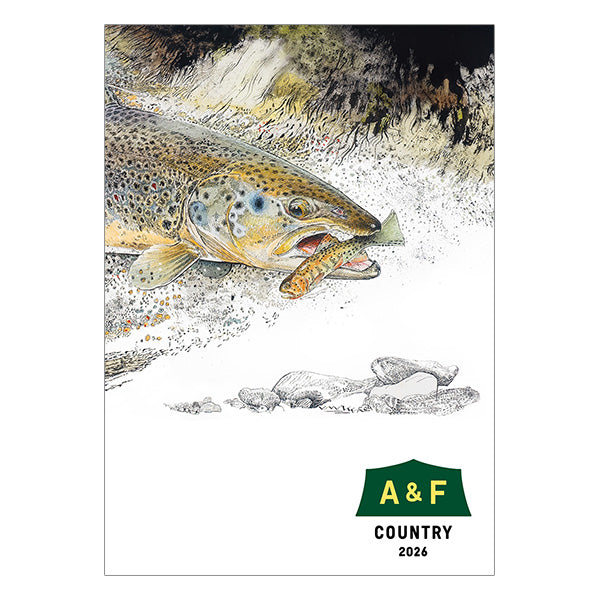 エイアンドエフ総合カタログ 2026