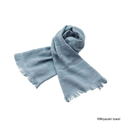 No2ブルーグレー