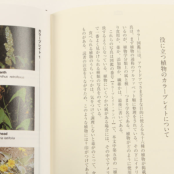 アウトドアサバイバル技法