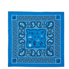 ペイズリートラックス