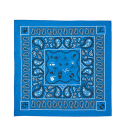 ペイズリートラックス