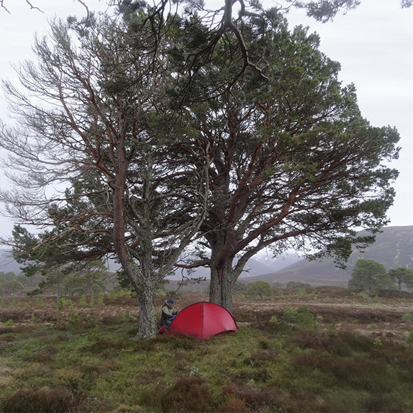 ヒルバーグ ニアック1.5(Kerlon1000) レッド