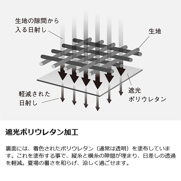 ゼインアーツ ゲウ TP-003