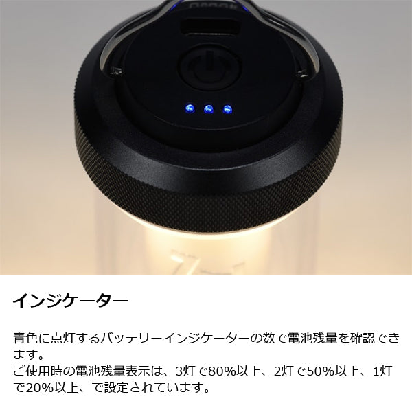 ゼインアーツ ジグ LT-003