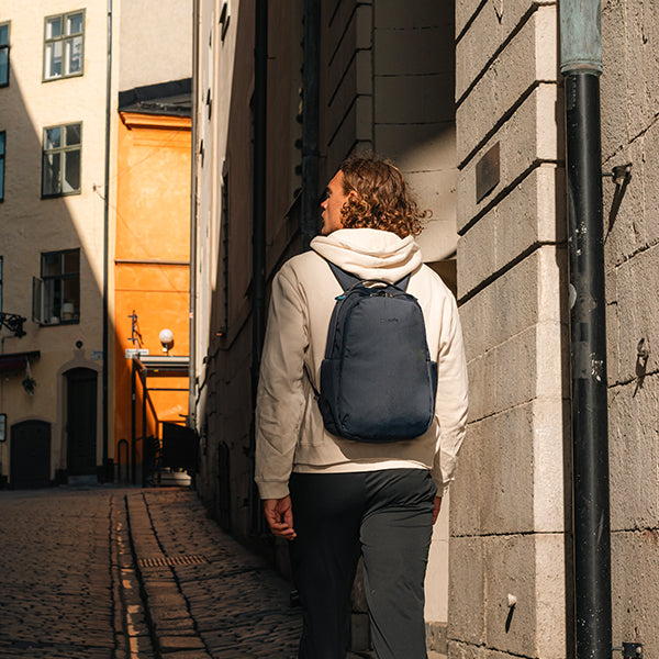 パックセーフ V16 バックパック