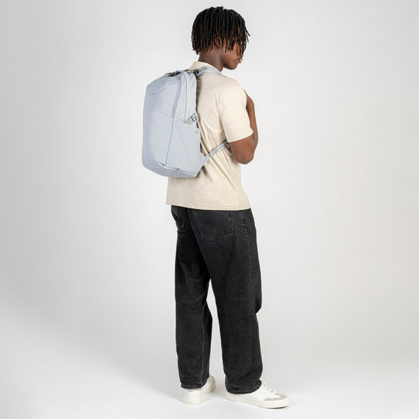 パックセーフ V24 バックパック