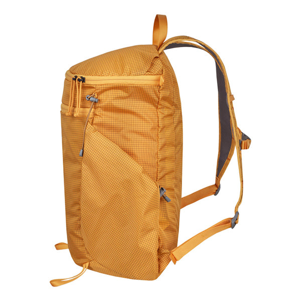 ミステリーランチ インアンドアウト18