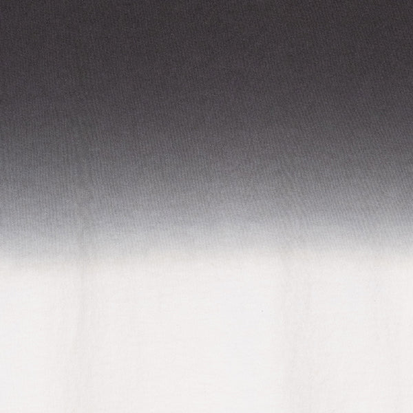 ペンドルトン メンズ ショートスリーブ ジャージーグラデーションダイ MW バックプリントTシャツ