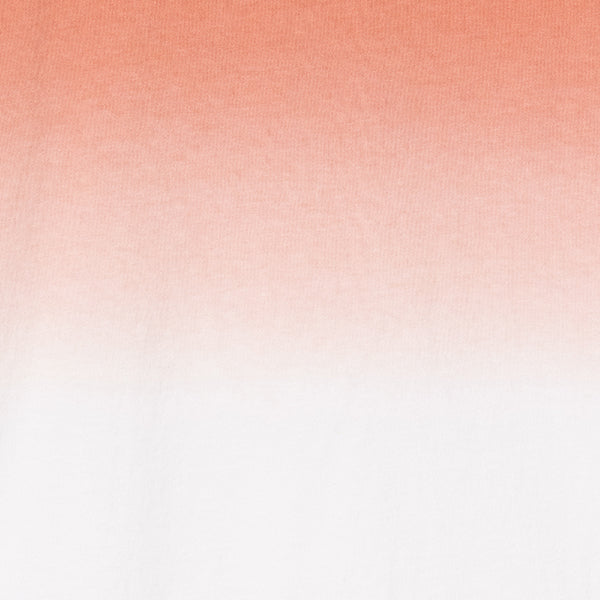 ペンドルトン メンズ ショートスリーブ ジャージーグラデーションダイ MW バックプリントTシャツ