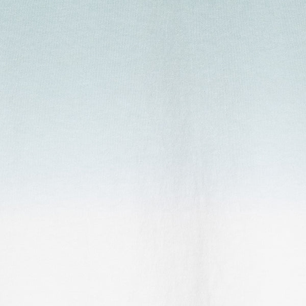 ペンドルトン ウィメンズ ショートスリーブ ジャージーグラデーションダイ MW バックプリントTシャツ