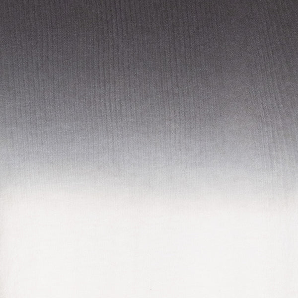 ペンドルトン ウィメンズ ショートスリーブ ジャージーグラデーションダイ MW バックプリントTシャツ