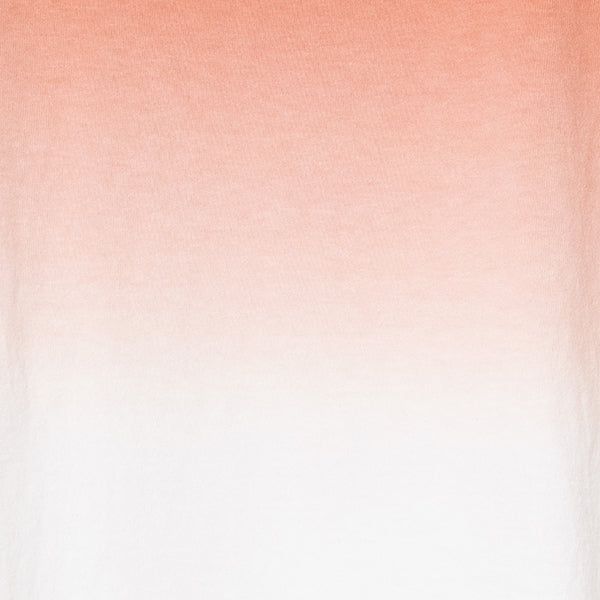 ペンドルトン ウィメンズ ショートスリーブ ジャージーグラデーションダイ MW バックプリントTシャツ