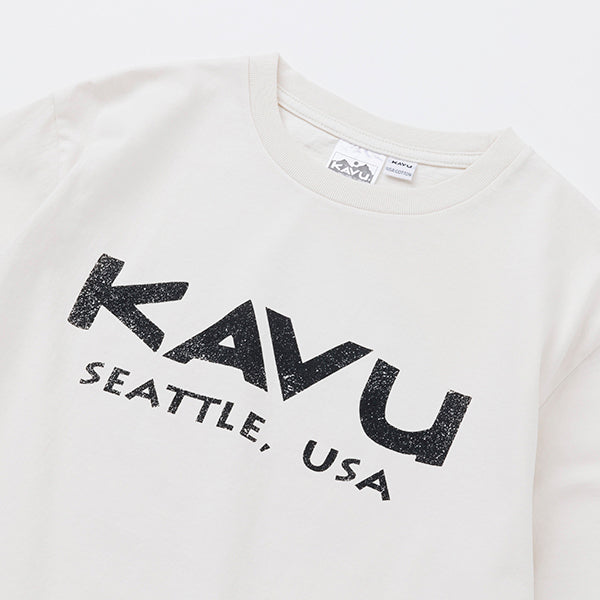 カブー メンズ USAロゴTシャツ