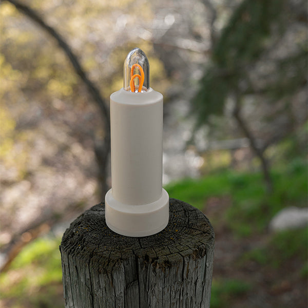 ベアボーンズ LEDフレームレス キャンドル