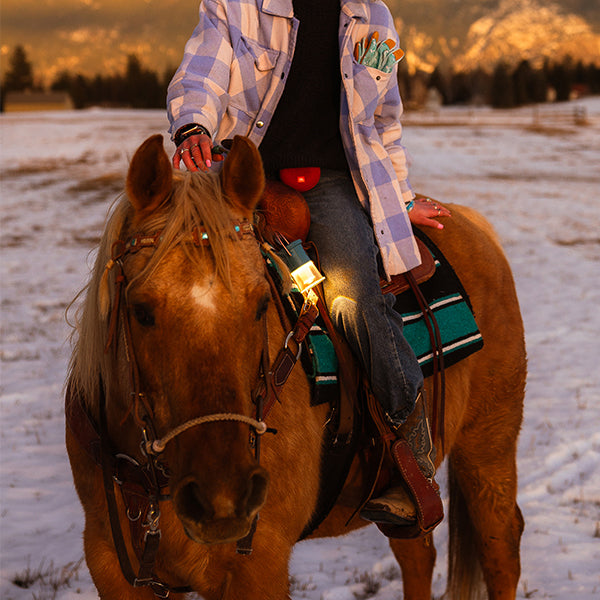 ベアボーンズ フードゥ―ランタン