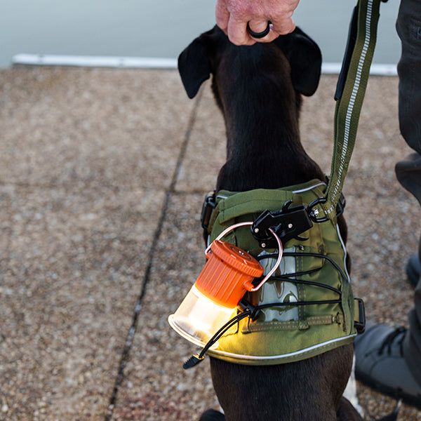 ベアボーンズ フードゥ―ランタン