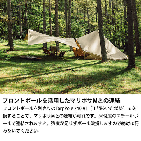 サバティカル モーニンググローリー TC