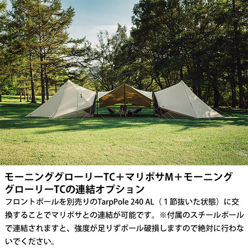 サバティカル モーニンググローリー TC