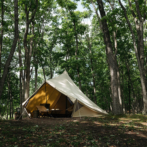 サバティカル モーニンググローリー TC