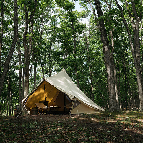 サバティカル モーニンググローリー TC