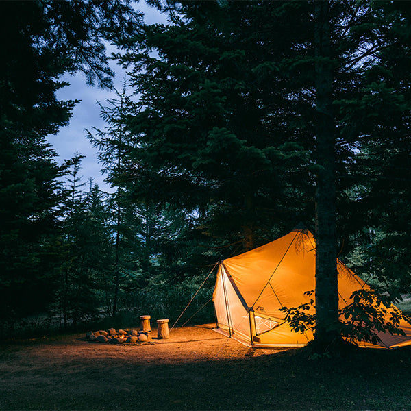 サバティカル モーニンググローリー TC