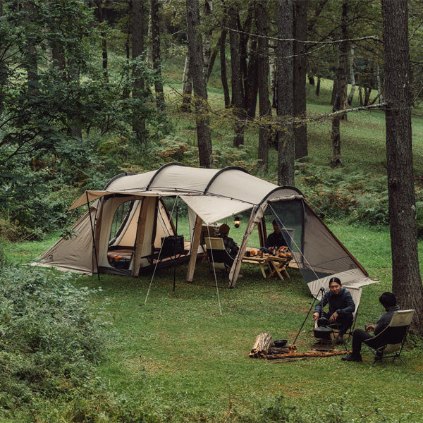 サバティカル アルニカ