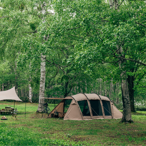 サバティカル アルニカ