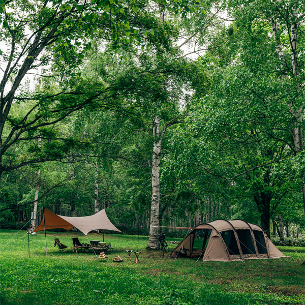 サバティカル アルニカ