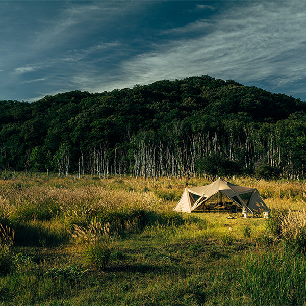 サバティカル スカイパイロット Synthetic plus