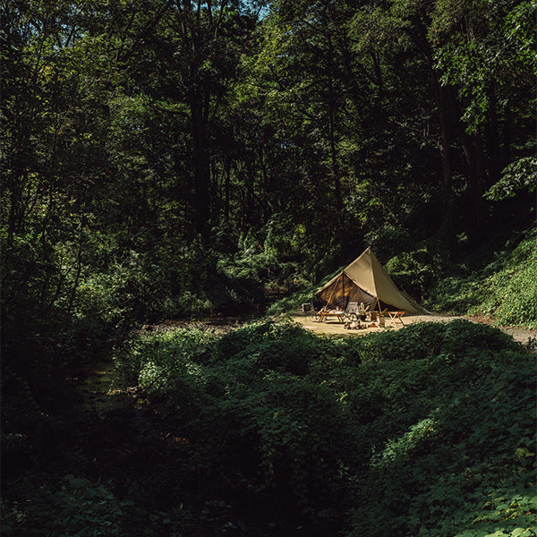 サバティカル モーニンググローリー Synthetic plus