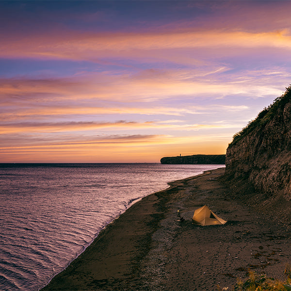 サバティカル モーニンググローリー Synthetic plus