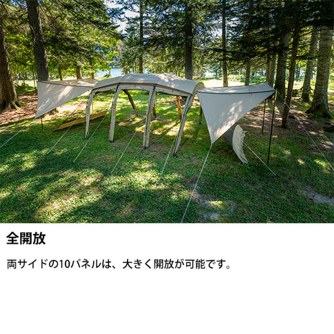 サバティカル アルニカ plus