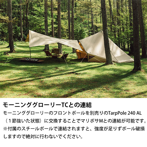 サバティカル マリポサ Mサイズ TC