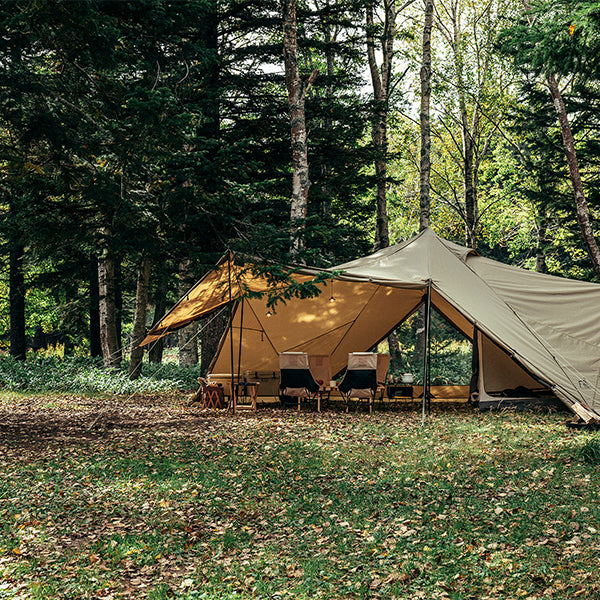 サバティカル スカイパイロット Synthetic